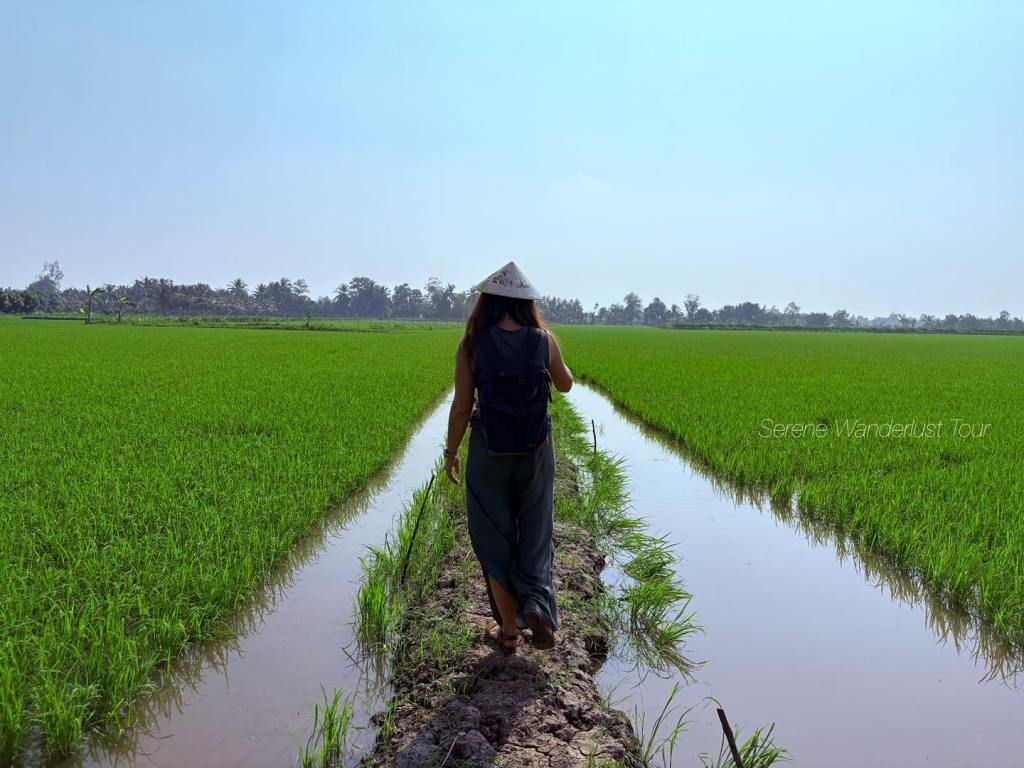 A traveler in a traditional Vietnamese hat walking along a narrow rice field path at Lung Ngoc Hoang Nature Reserve.
