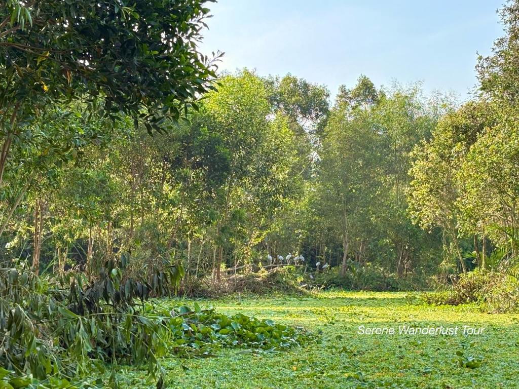 A quiet, untouched forest area inside Lung Ngoc Hoang Nature Reserve.