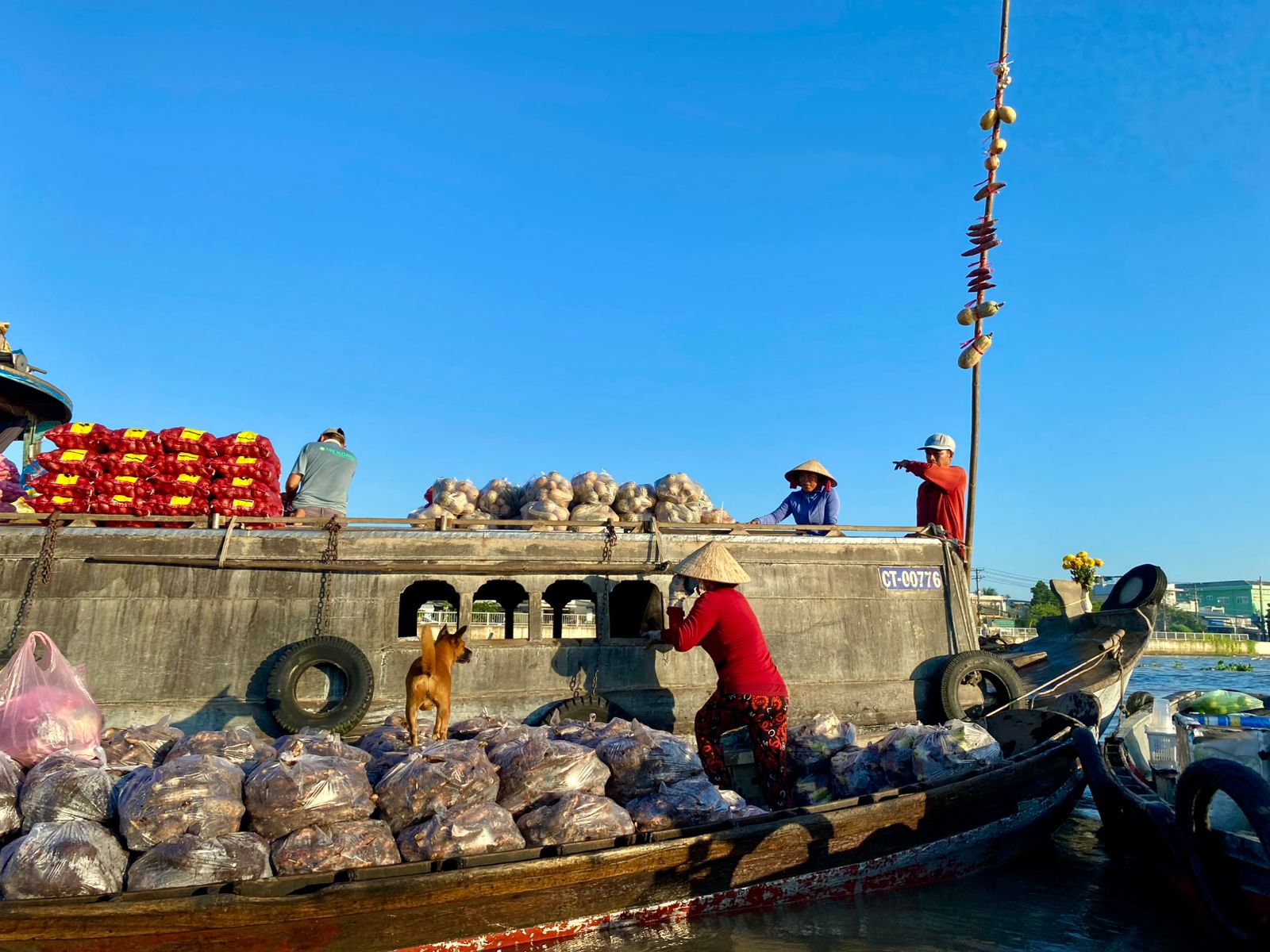 Early Morning Wholesale Trading at Cai Rang Market