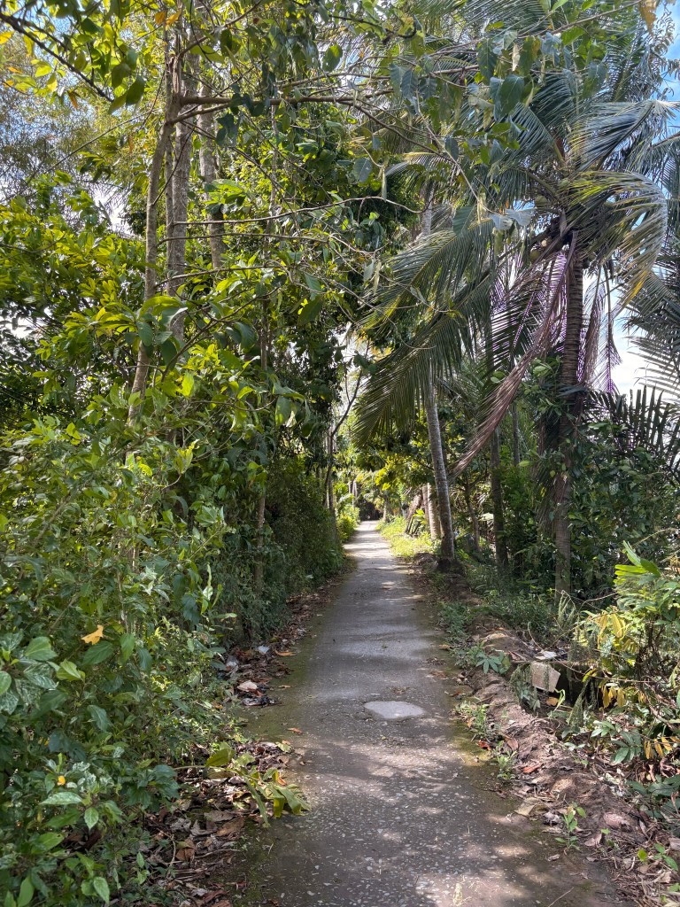 Cycling around rural Can Tho.